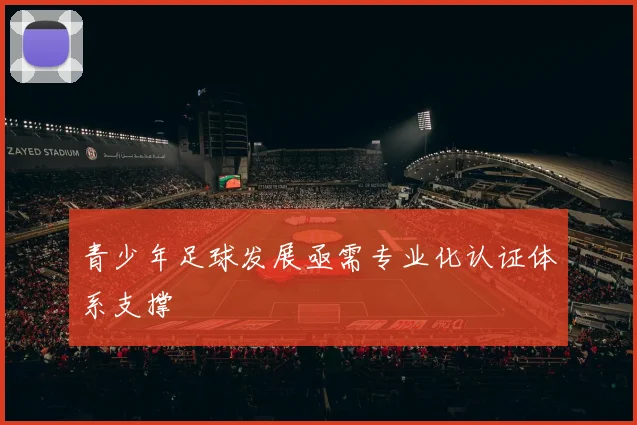 青少年足球发展亟需专业化认证体系支撑