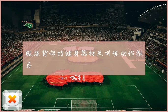 锻炼背部的健身器材及训练动作推荐